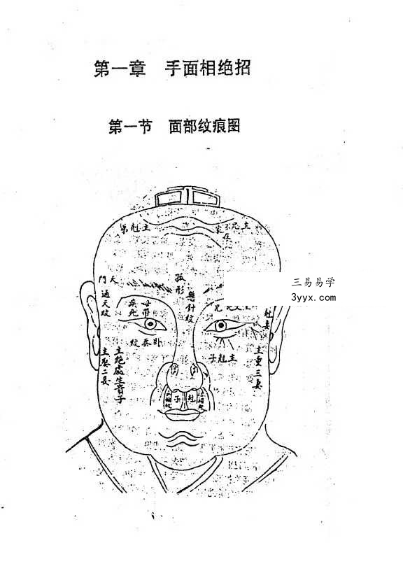 李树哲《手面相绝招大公开》65页 资料图片