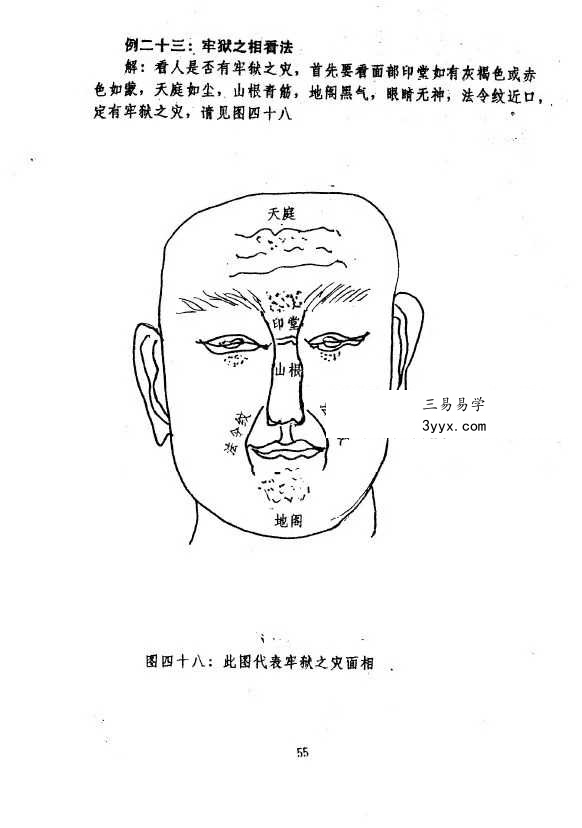 李树哲《手面相绝招大公开》65页 资料图片