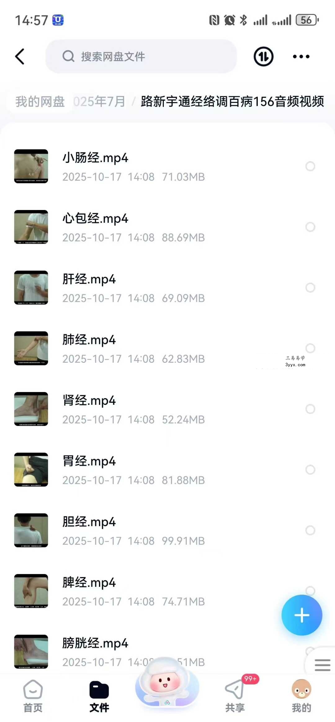 路新宇 通经络调百病156节音频视频 资料图片