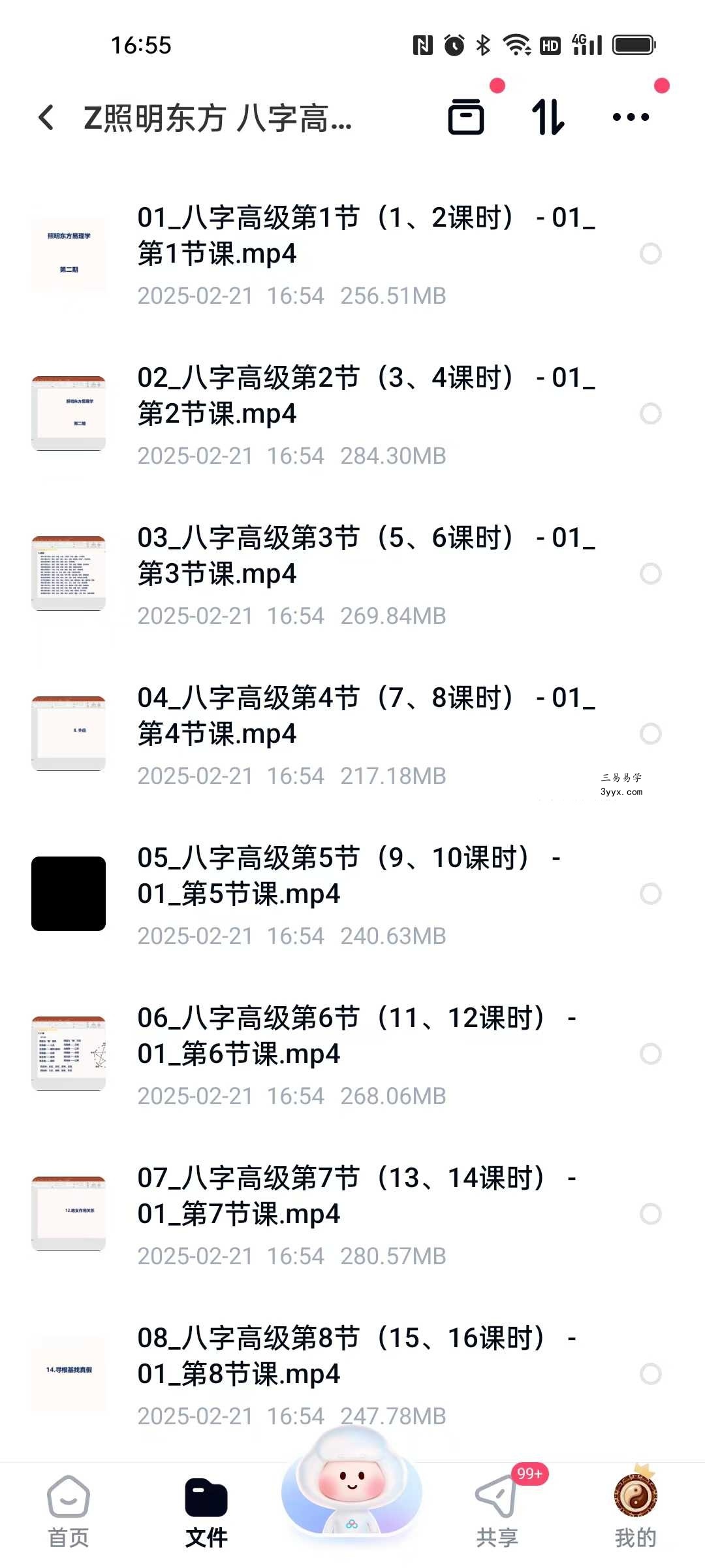 照明东方《八字高级班》12集 资料图片