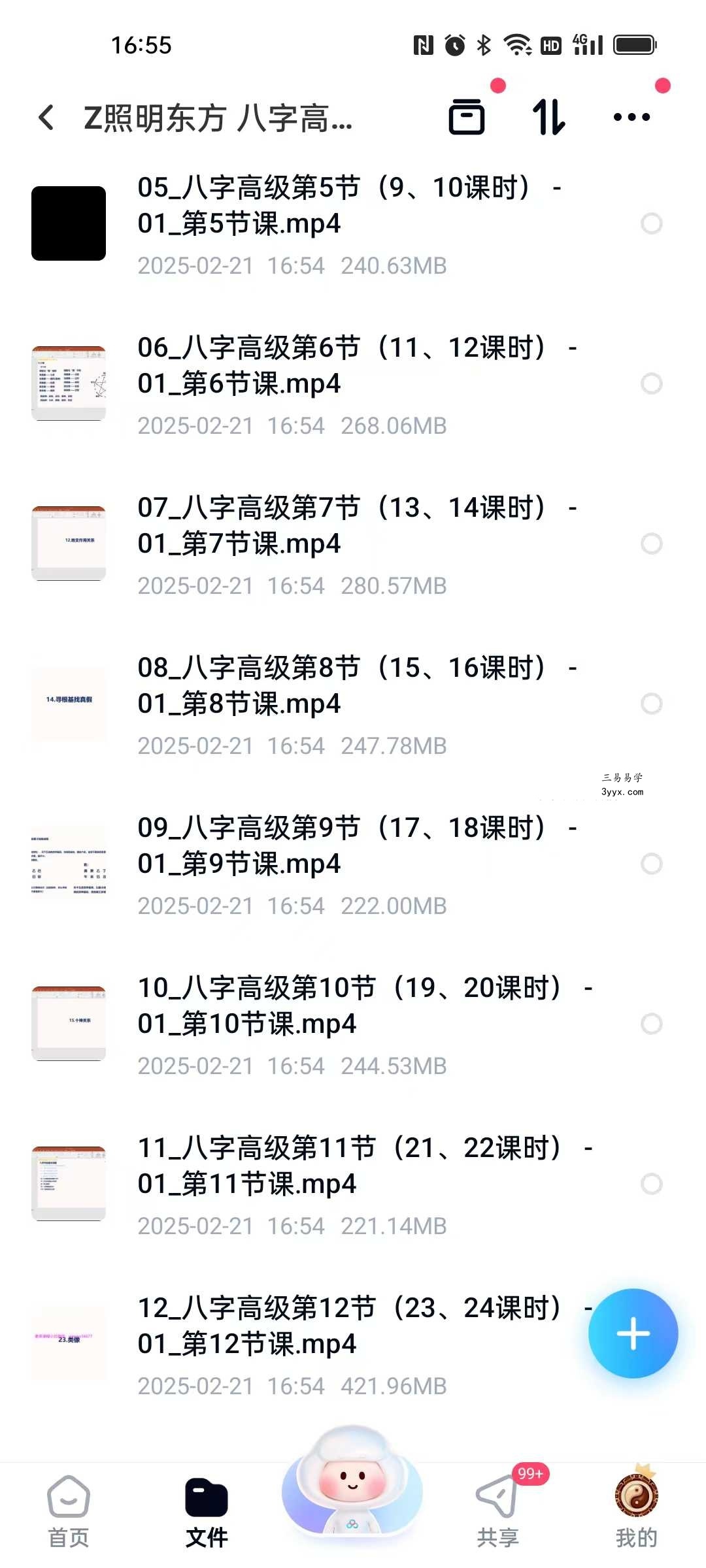 照明东方《八字高级班》12集 资料图片