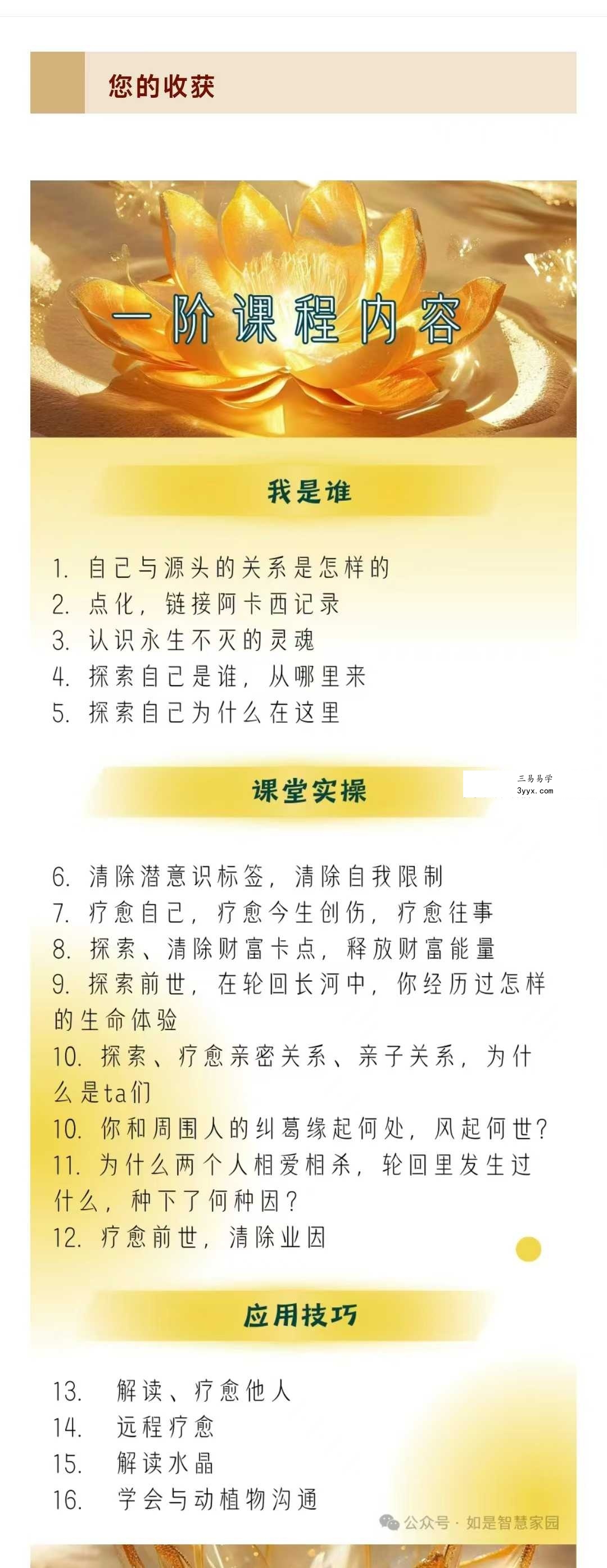 如是智慧 阿卡西记录(Akashic Records)阅读疗愈师课程22节 资料图片