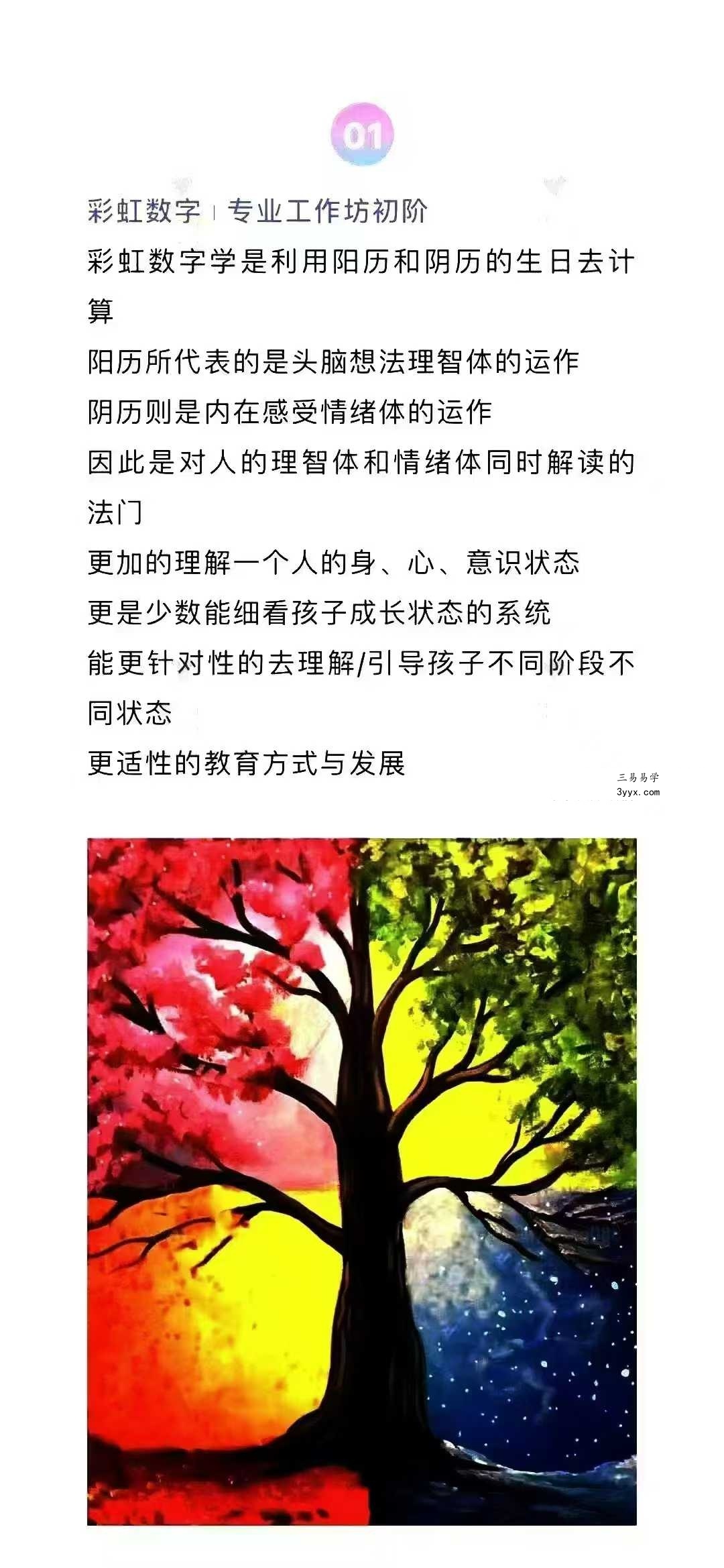 Wen Liu彩虹数字学三阶段专业课 资料图片