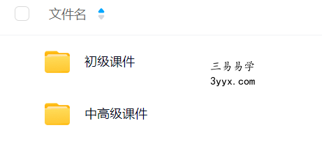 2024年 依婷《紫微斗数》初中高课件合集 资料图片