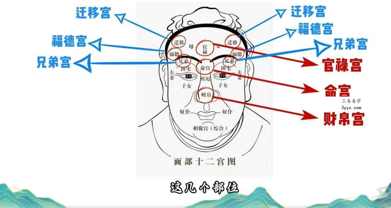 程驿老师《快速成交的面相识人课》13集视频 资料图片