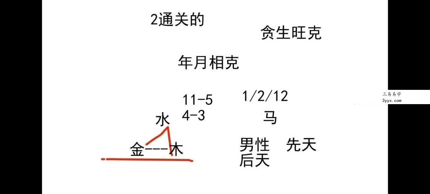 道源老师 2025年高级班《生命能量怎么看人生》29集 资料图片