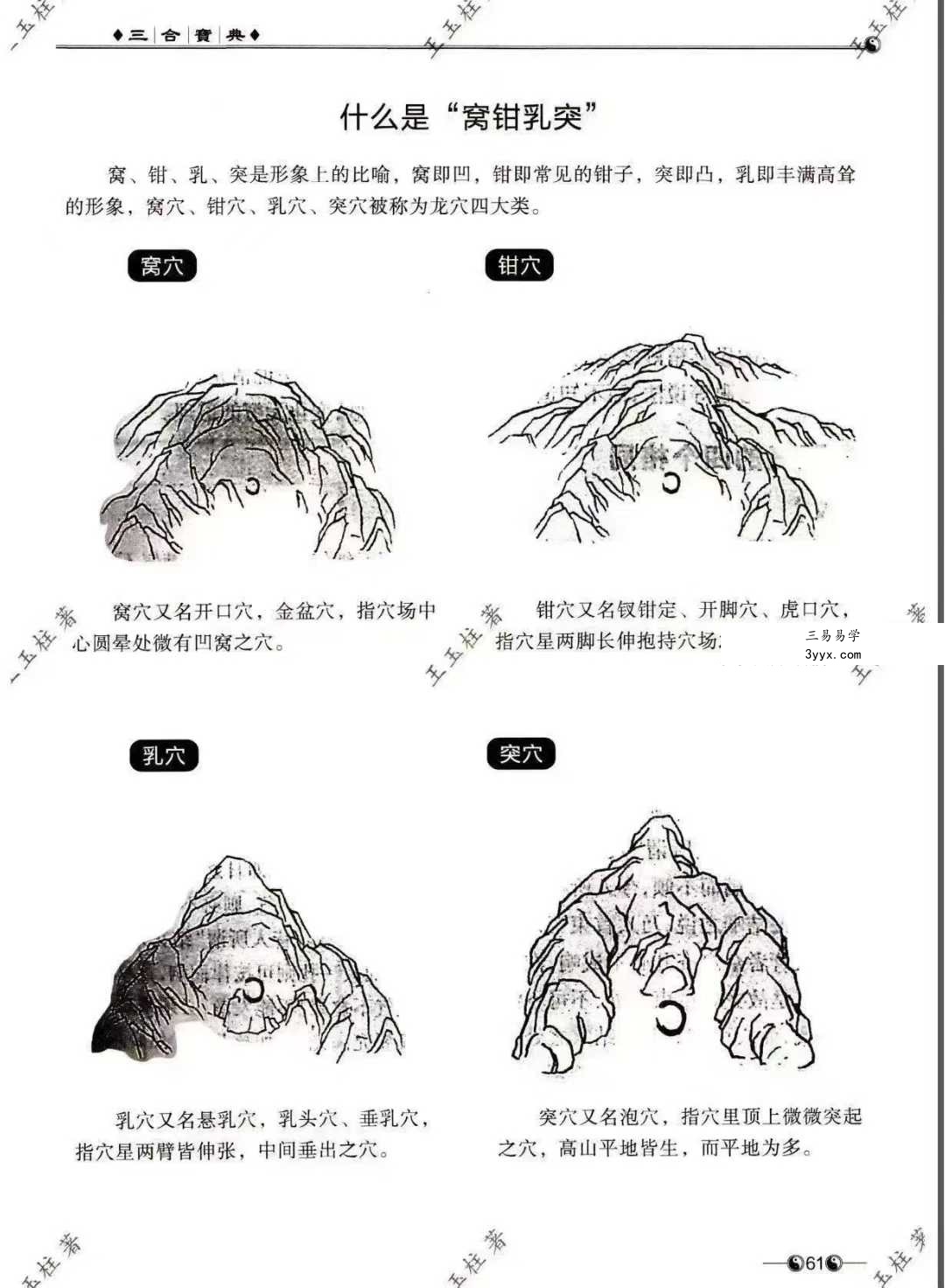 王玉柱《三合宝典》阴阳秘籍225页 资料图片