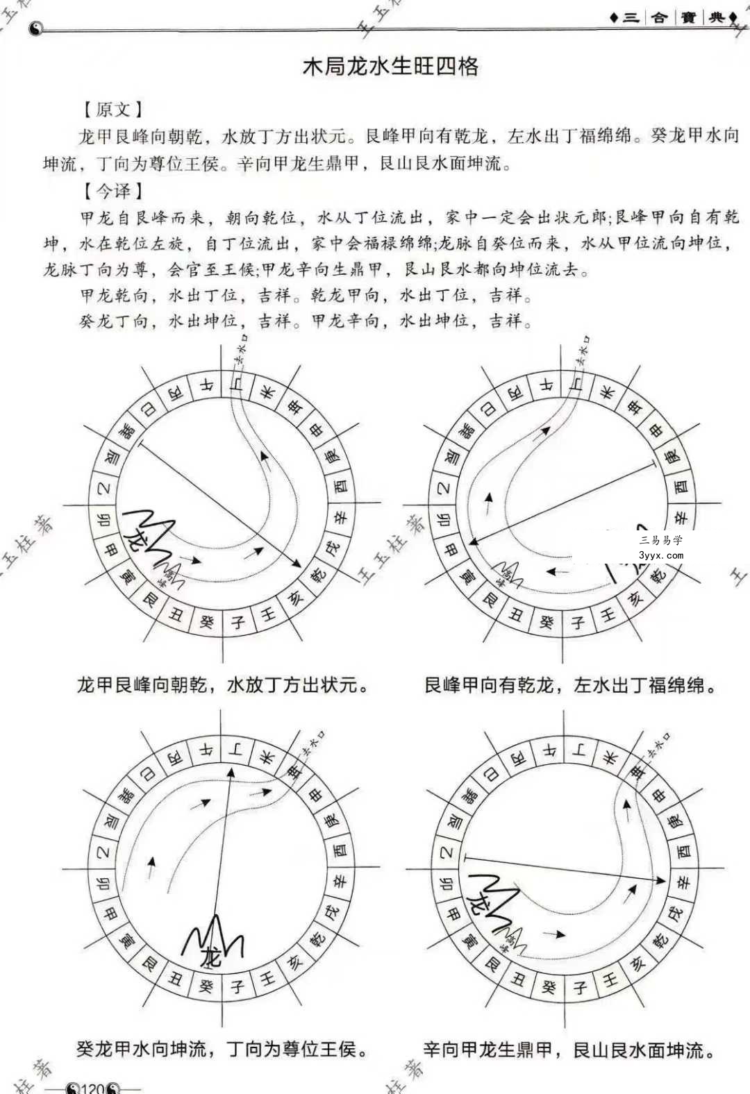 王玉柱《三合宝典》阴阳秘籍225页 资料图片