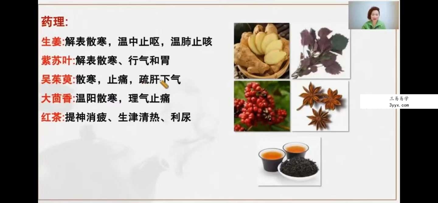 杨保琳【妙方药茶】系列网课20集视频 资料图片