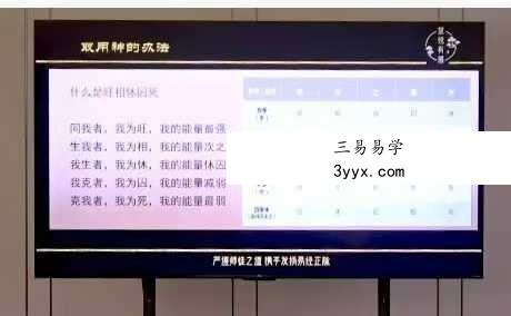 黎荔 子平易学中阶课17集视频课 资料图片
