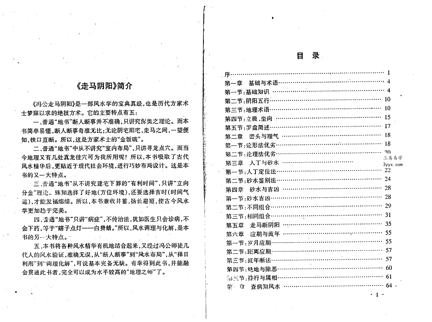 马化成《走马阴阳》311页 资料图片