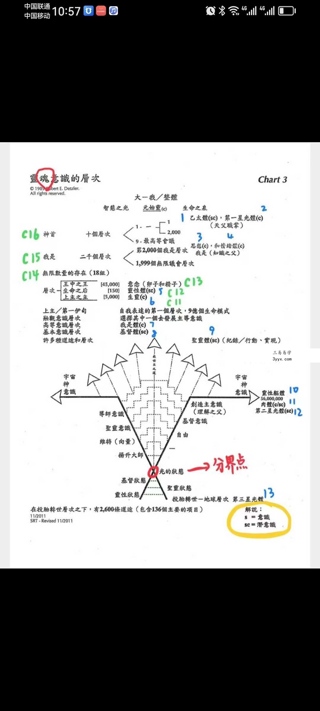 绽愿星河Starry Blessing灵摆初阶 资料图片