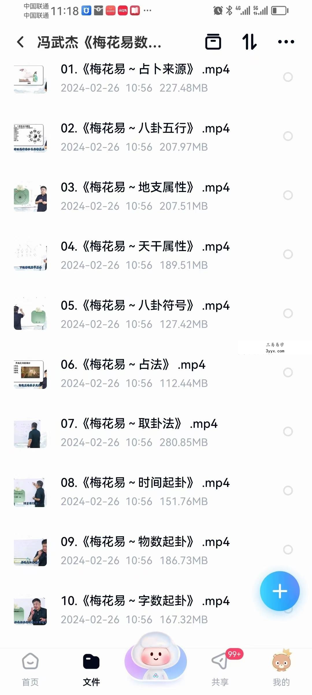 冯武杰《梅花易数》30集 资料图片