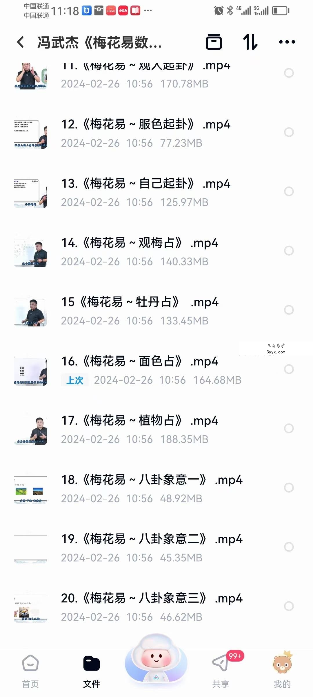 冯武杰《梅花易数》30集 资料图片