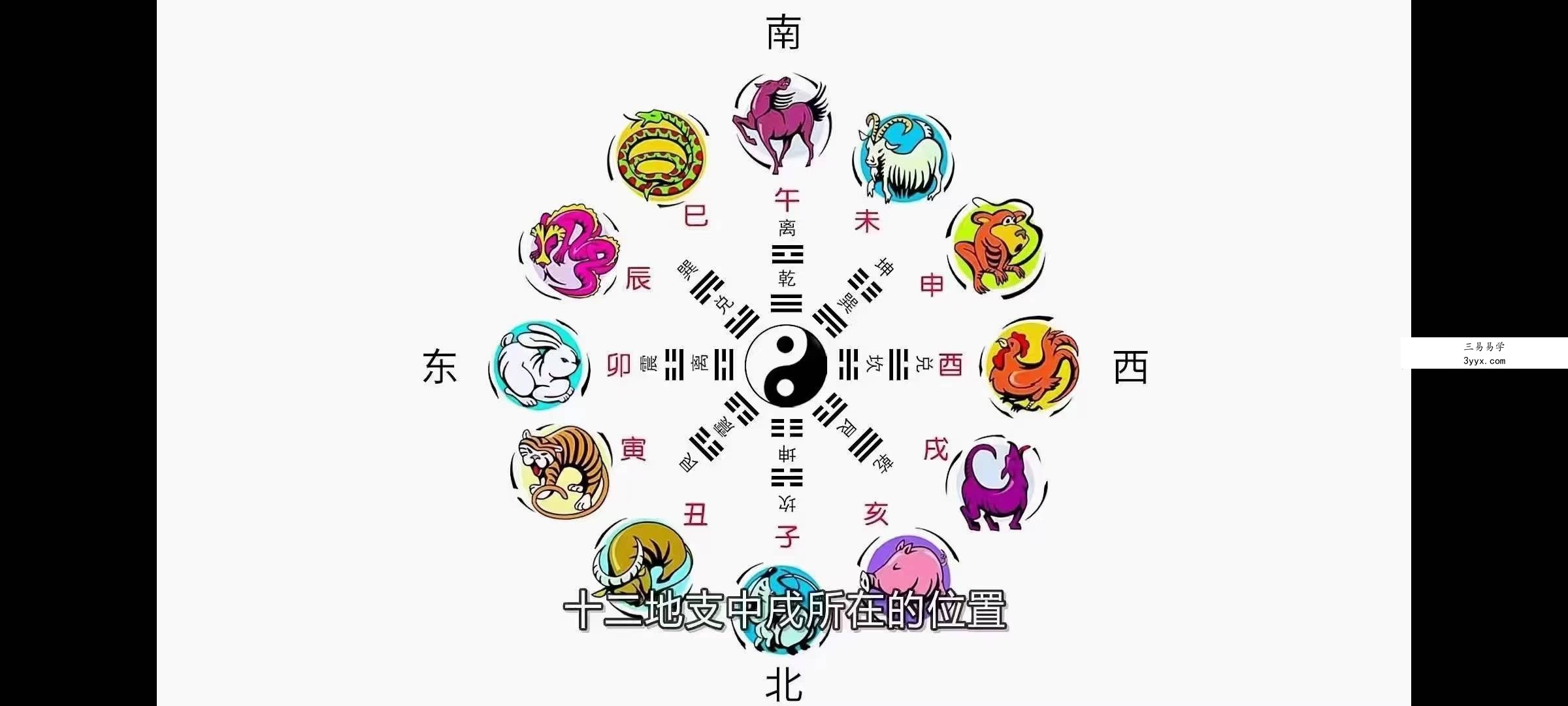 张同全《易解十二生肖之谜》15集 资料图片