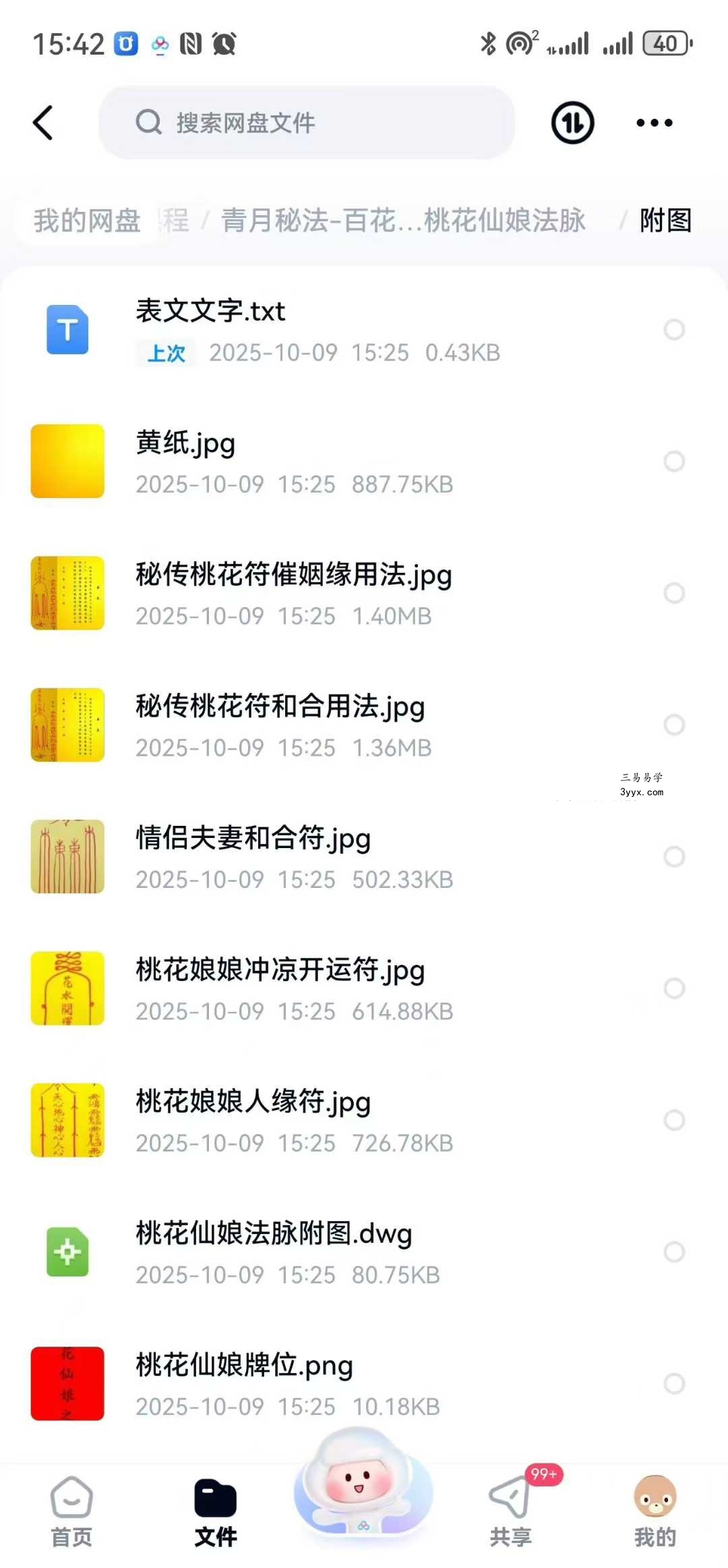 青月秘法 百花仙子桃花仙娘法脉 文档+图片 资料图片