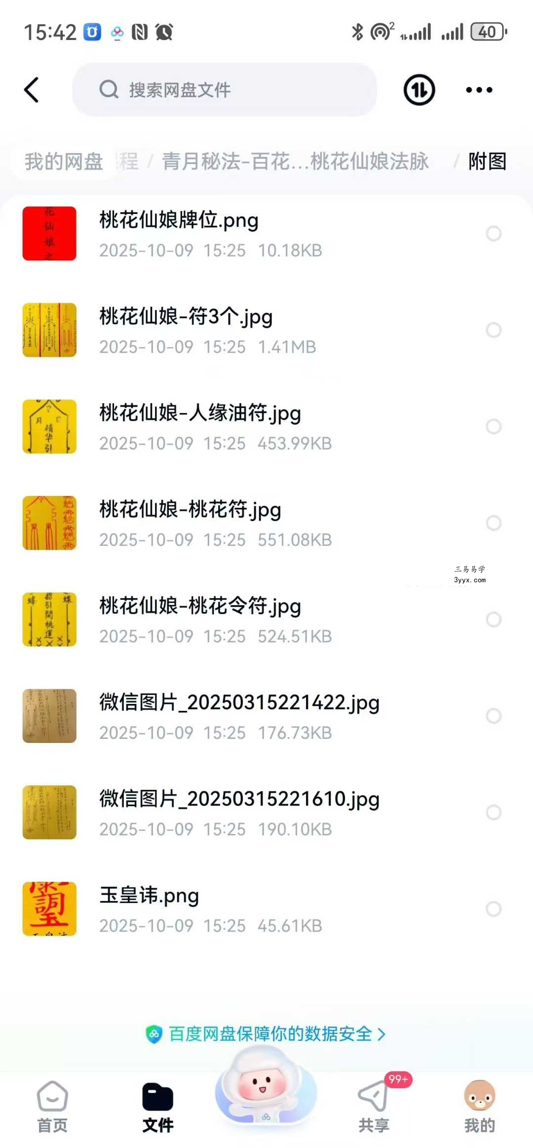 青月秘法 百花仙子桃花仙娘法脉 文档+图片 资料图片