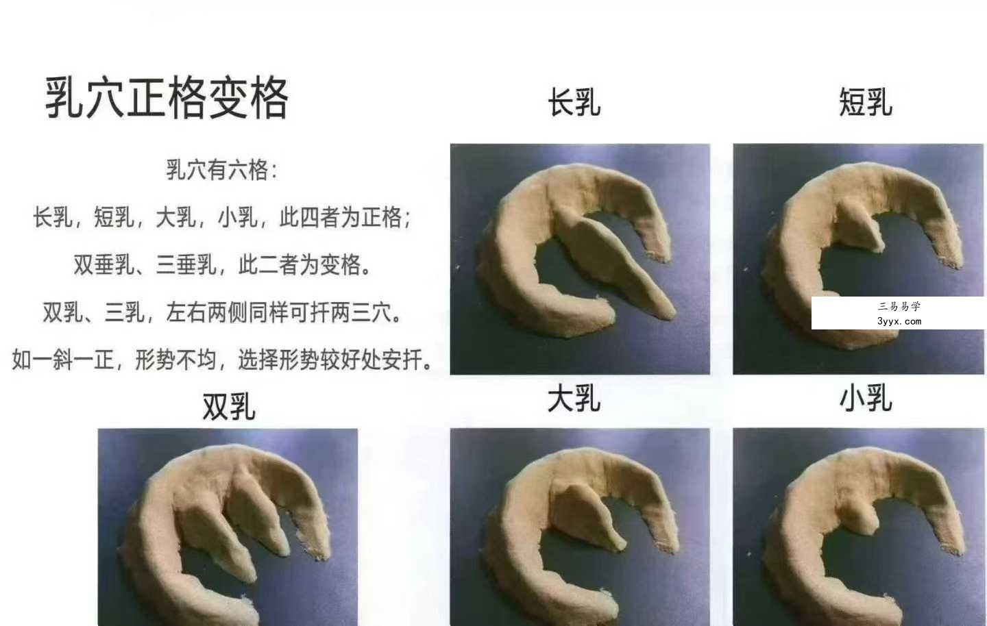 《形峦讲义 寻龙点穴秘法》419页 资料图片