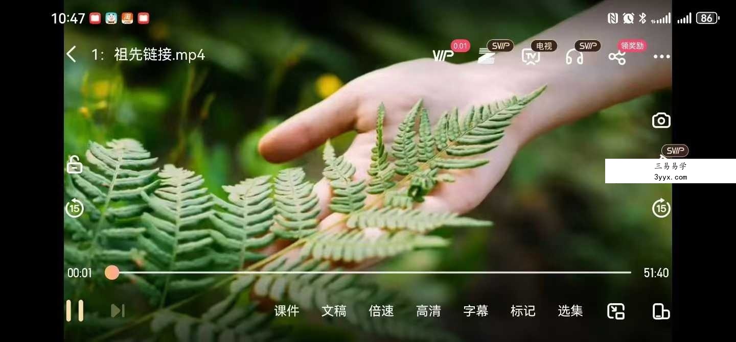 昕玥疗愈空间 祖先链接 链接祖先力量 家族兴旺的根本 1集视频课 资料图片