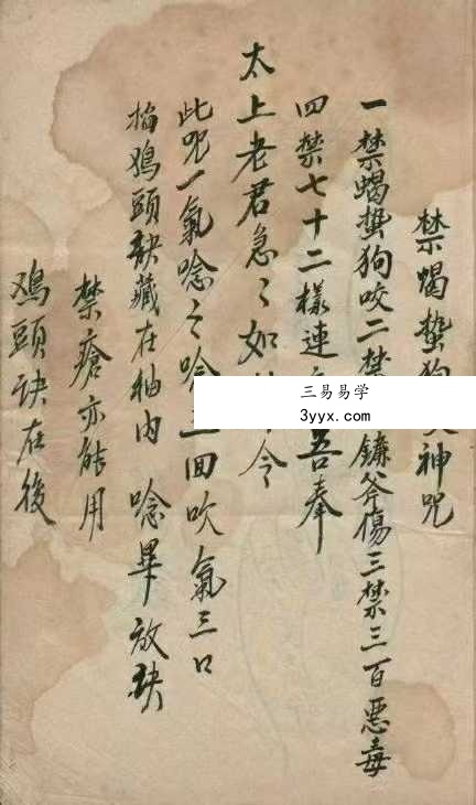 《师授医秘法诀》61页 资料图片