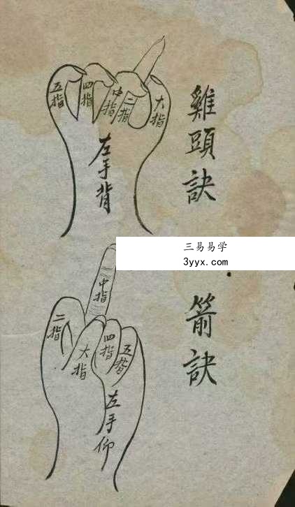 《师授医秘法诀》61页 资料图片