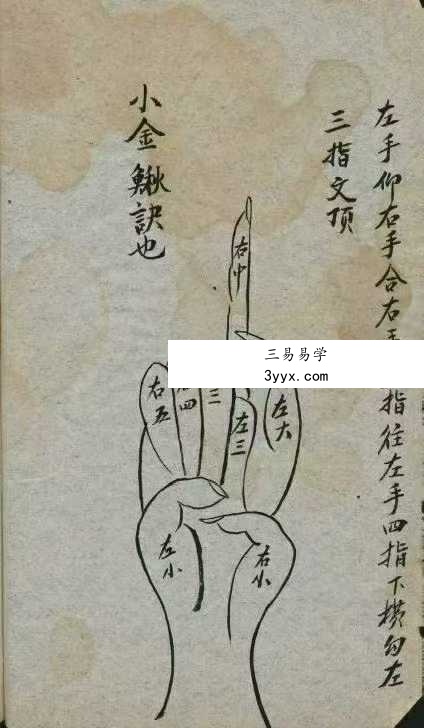 《师授医秘法诀》61页 资料图片