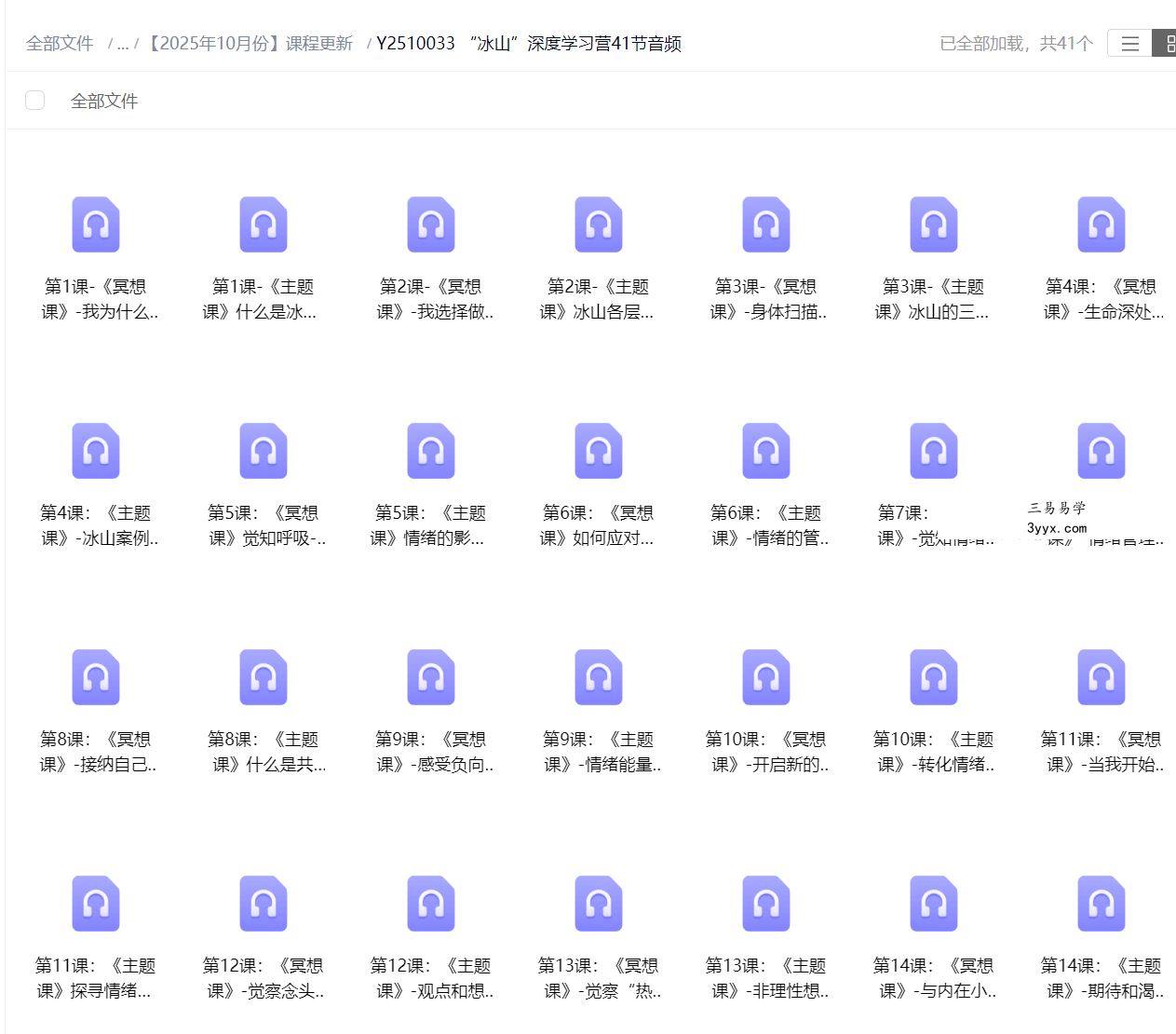 “冰山”深度学习营41节音频 资料图片