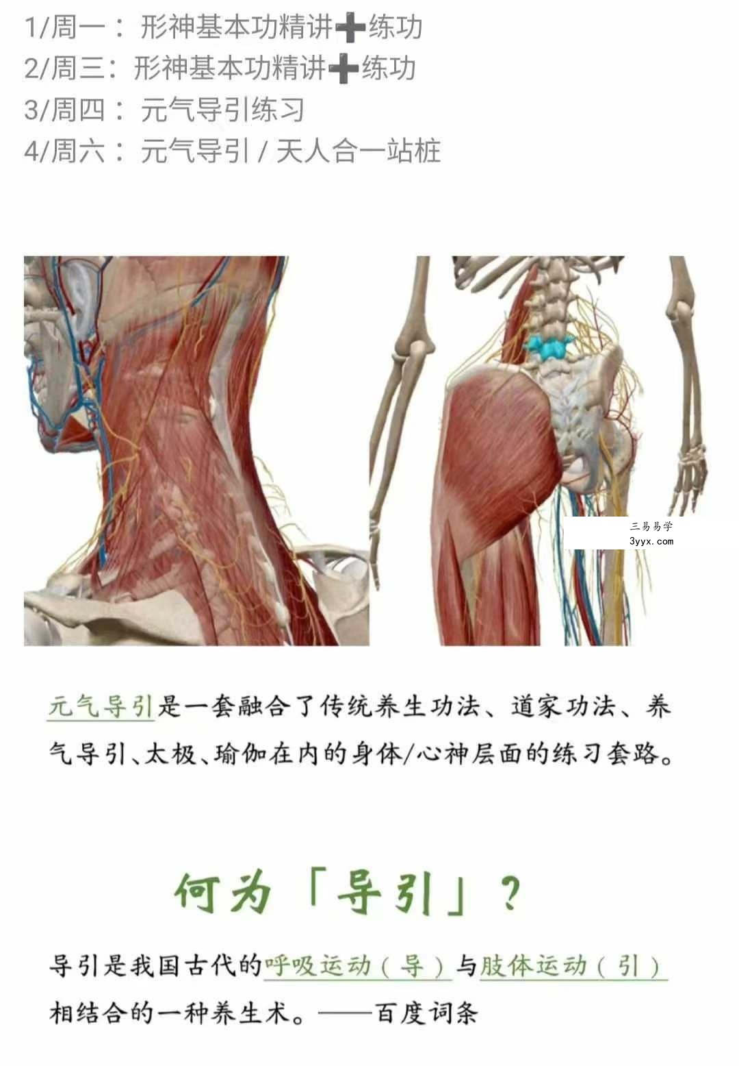 施莹 元气导引 形神筑基精讲24集视频 资料图片