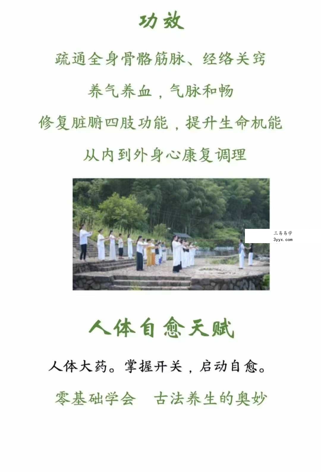 施莹 元气导引 形神筑基精讲24集视频 资料图片