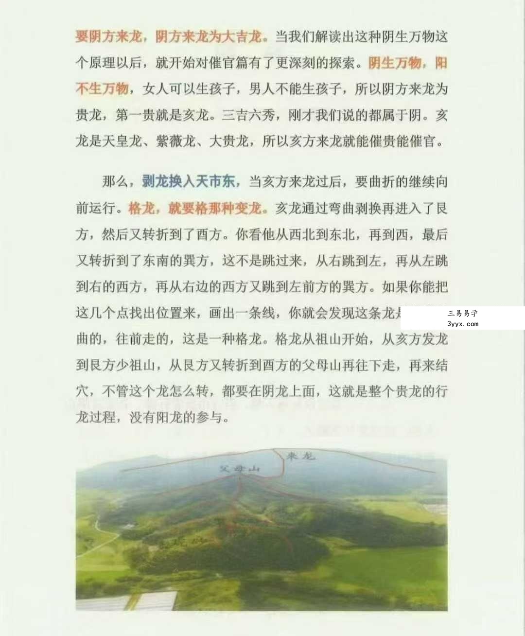 赖鸿森《赖布衣典籍解读》767页 资料图片