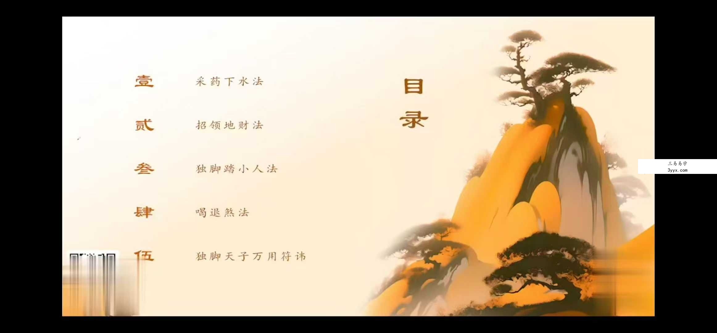 松韵 独脚天子百用五法视频1集 资料图片