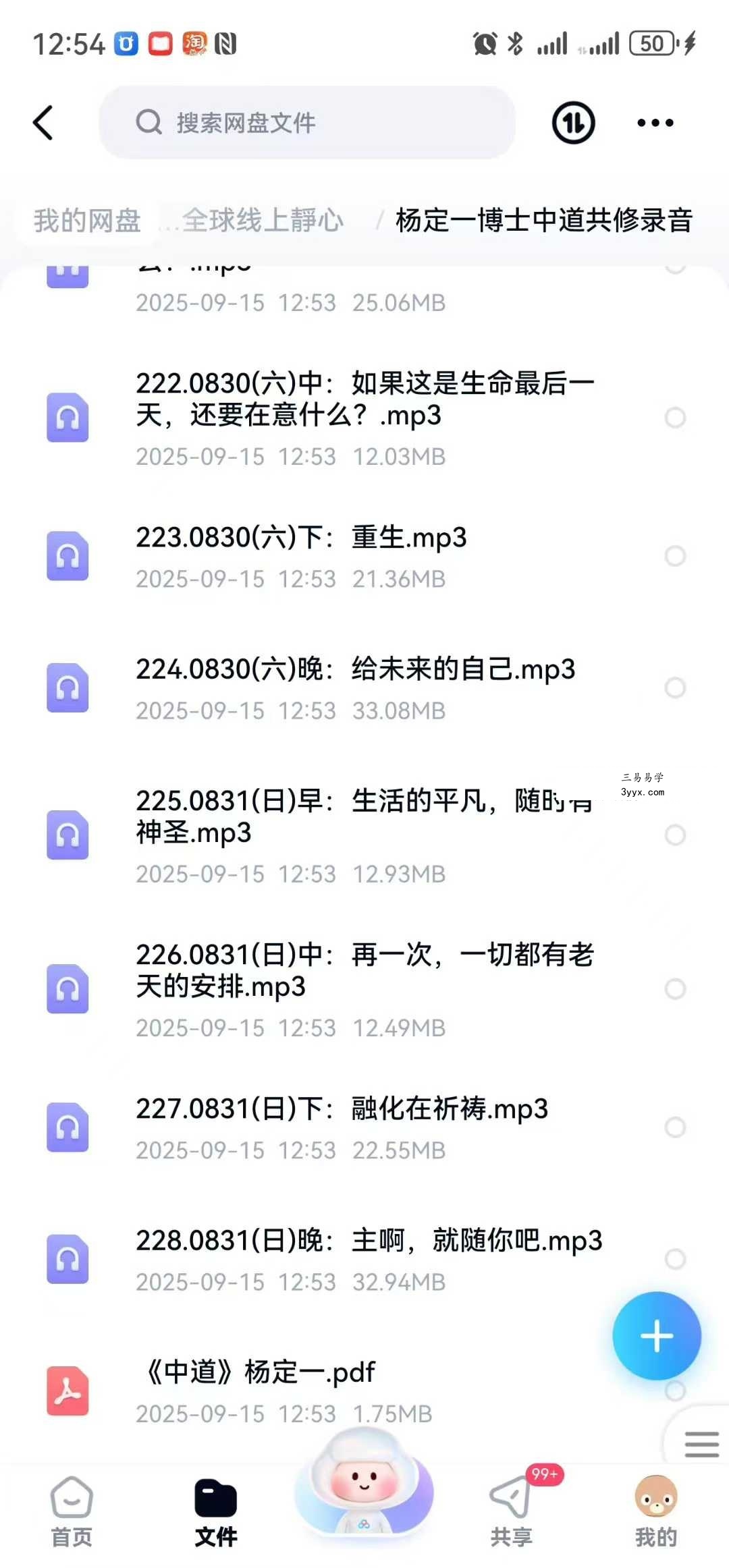 2025年 杨定一「中道，中道到底」全球线上靜心音频200多节带配套文档 资料图片