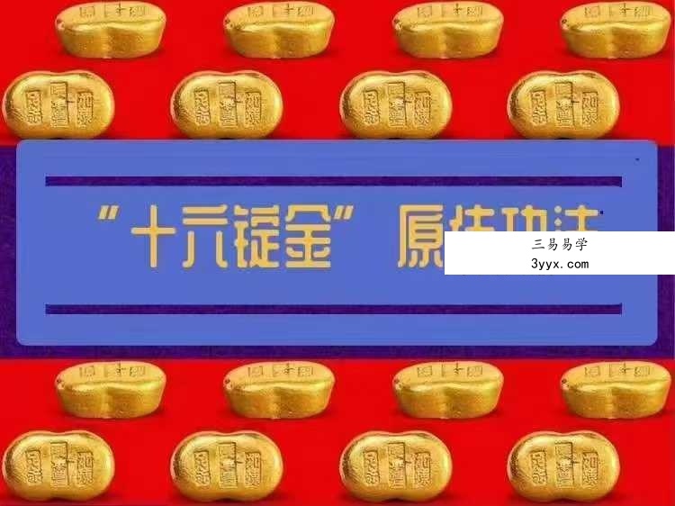 《十六锭金》道门原传经典内功功法 视频+文档 资料图片