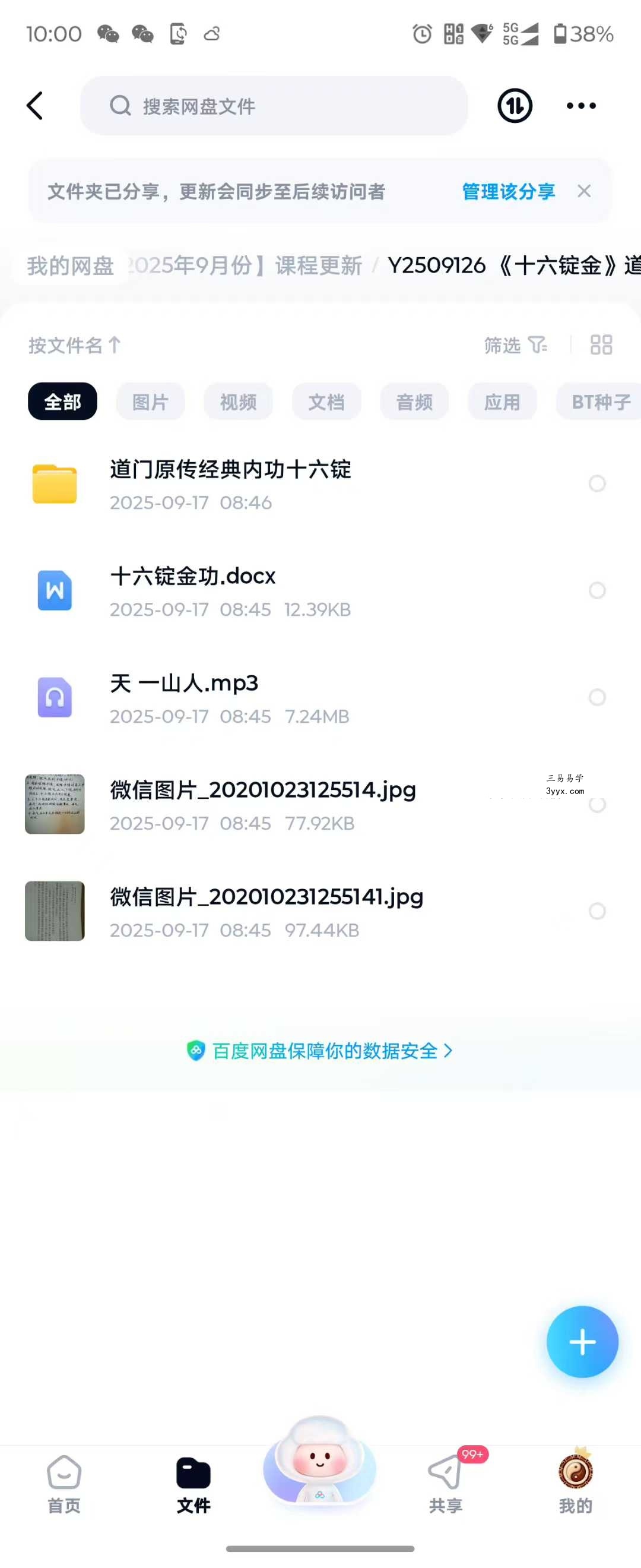 《十六锭金》道门原传经典内功功法 视频+文档 资料图片