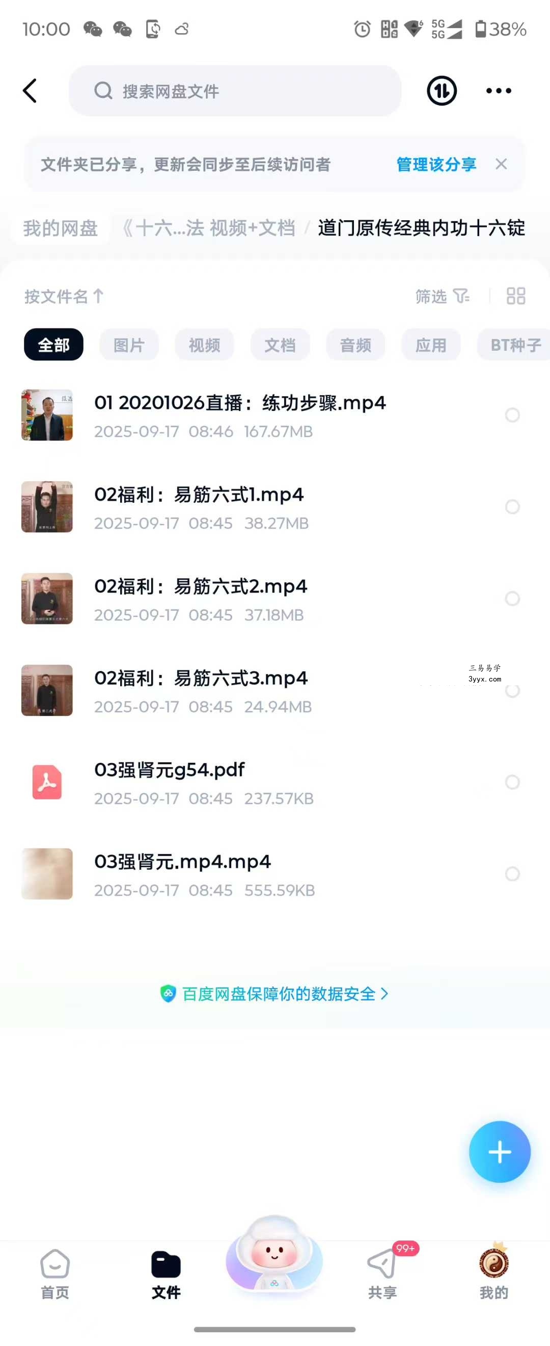 《十六锭金》道门原传经典内功功法 视频+文档 资料图片