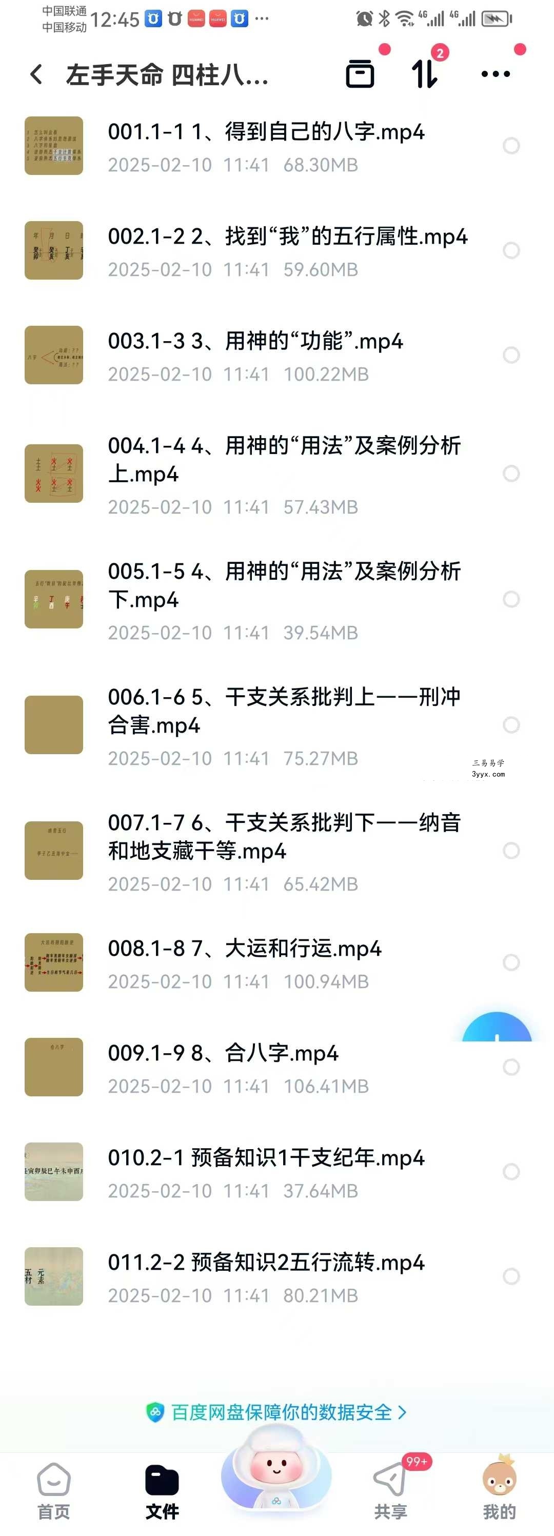 左手天命 四柱八字入门11集 资料图片