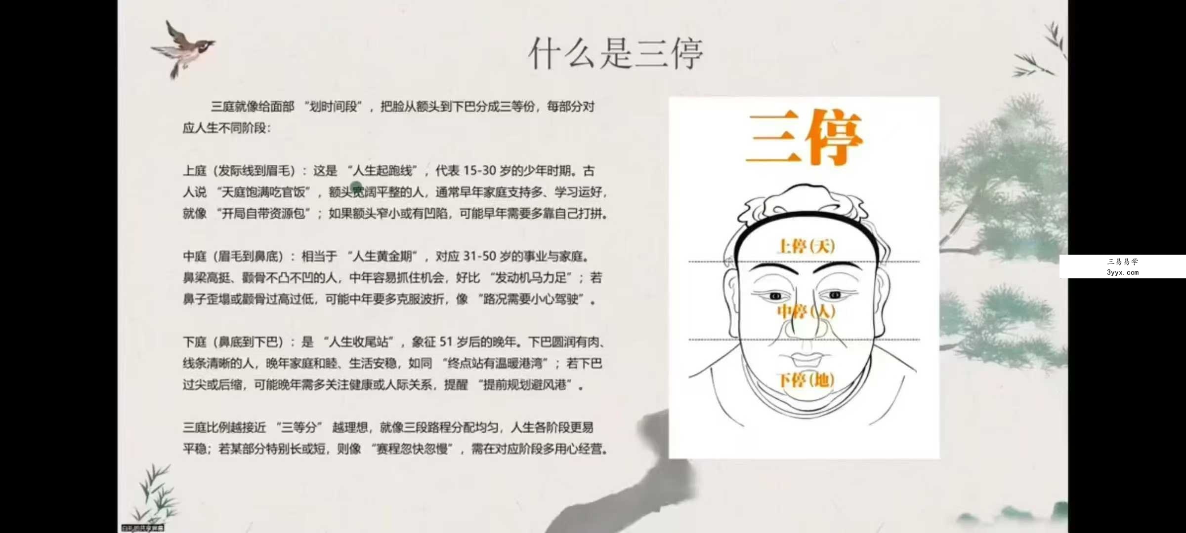 白礼老师《说相-国学面相视频直播课》10集视频 资料图片