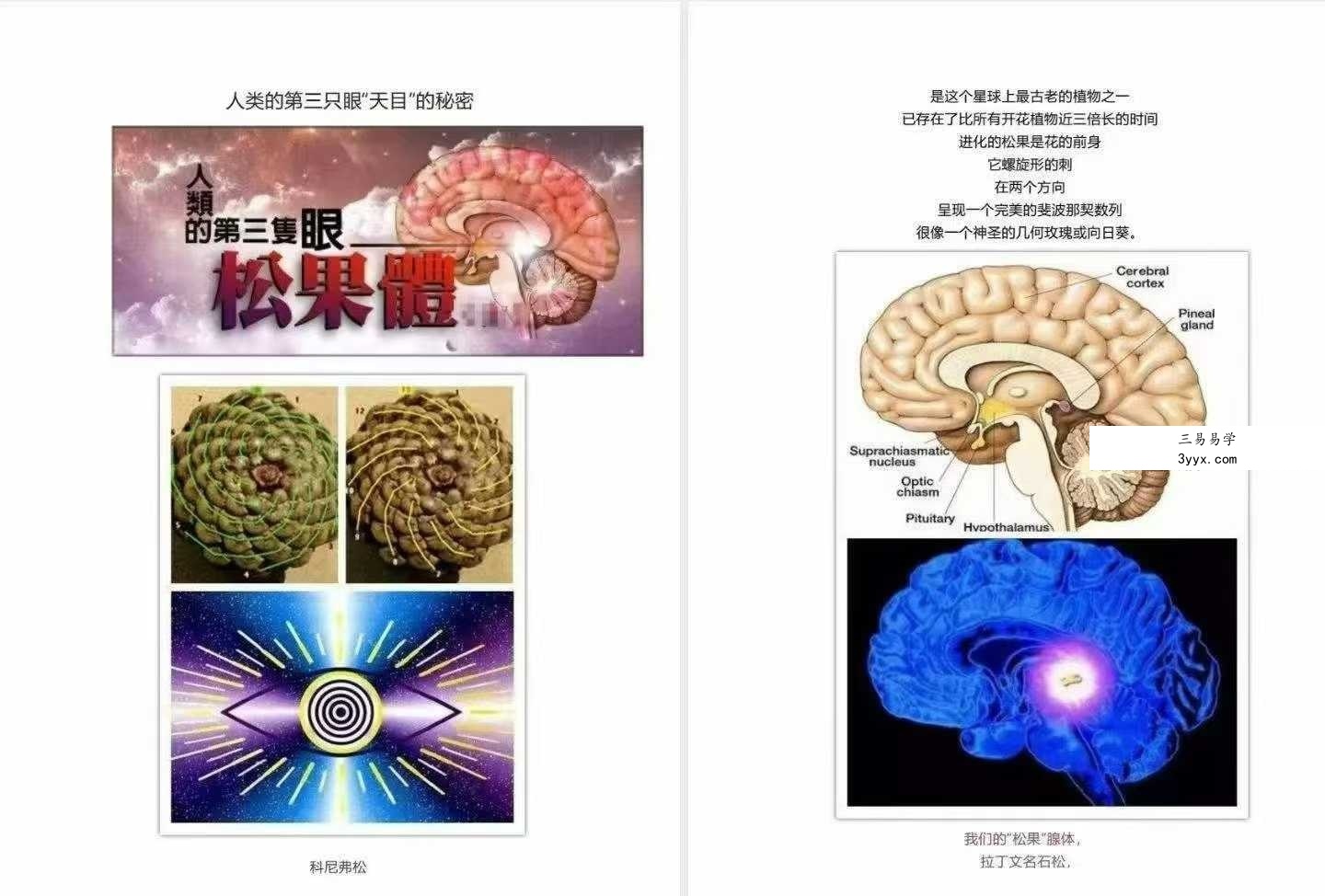玄阳山人《特异功能与超能力》174页 资料图片