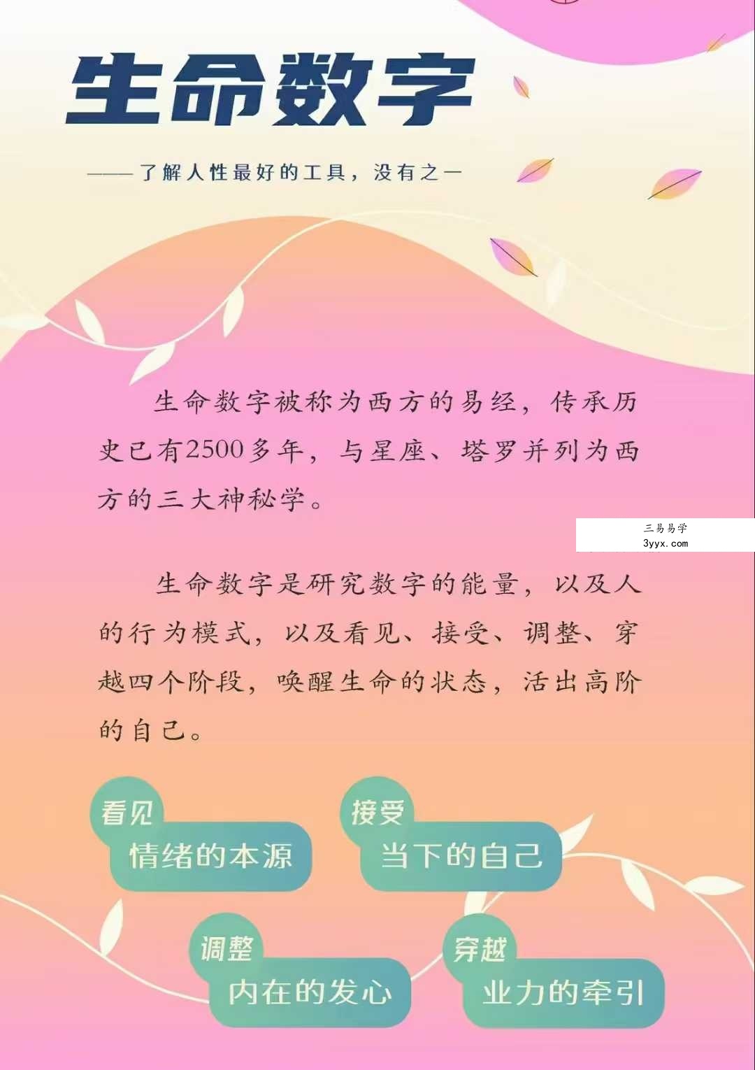 笑甲堂晓灿｜生命数字一二阶10集 资料图片