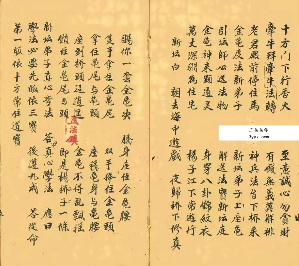 《元皇抛牌传度科》35筒子页 资料图片