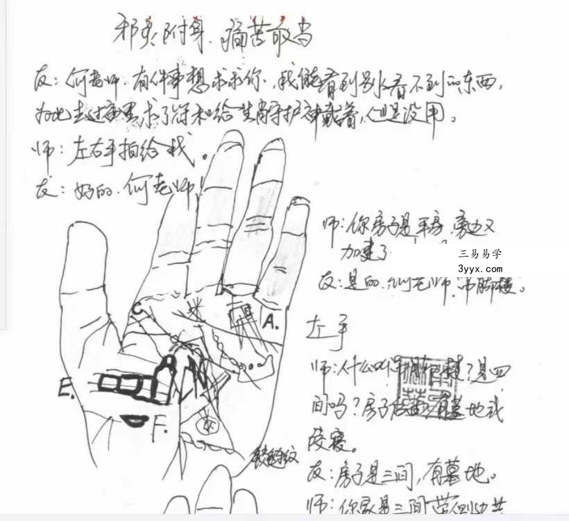 《相法实战案例玉手点乾坤》96页 资料图片