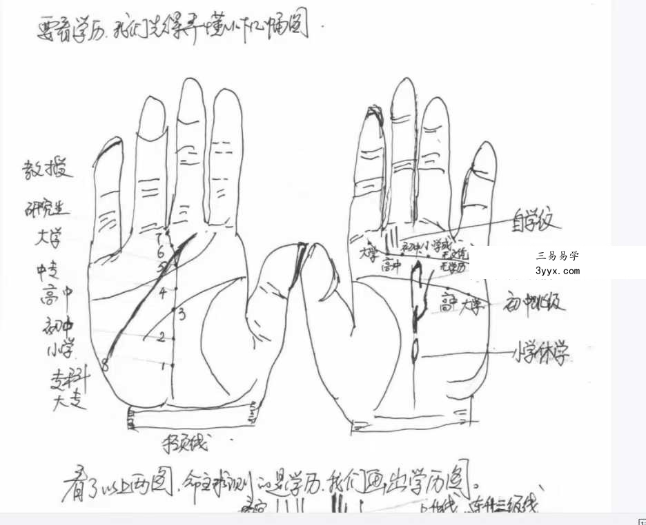 《相法实战案例玉手点乾坤》96页 资料图片