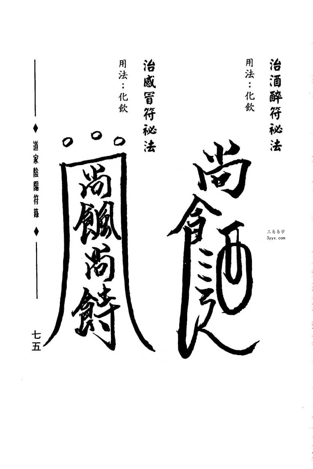 郑聿翔《道家阴阳符箓》197页 资料图片