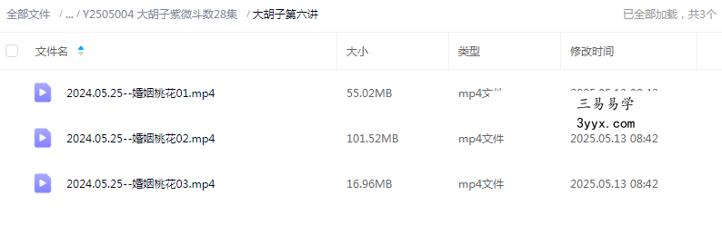 大胡子紫微斗数28集 资料图片