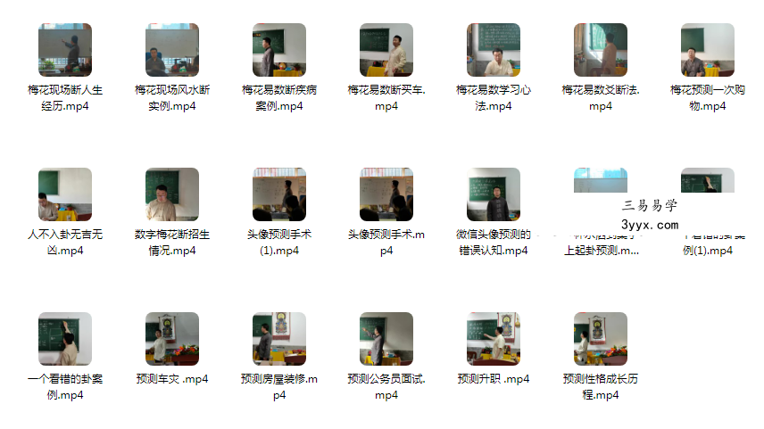 刘易铭梅花易数断卦案例40集 资料图片