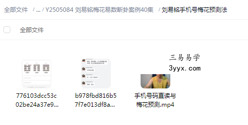 刘易铭梅花易数断卦案例40集 资料图片