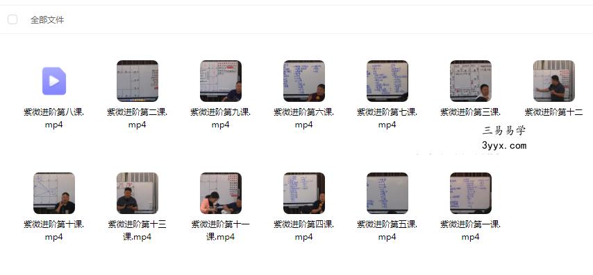 大耕紫微斗数 初阶+进阶 26集视频课 资料图片
