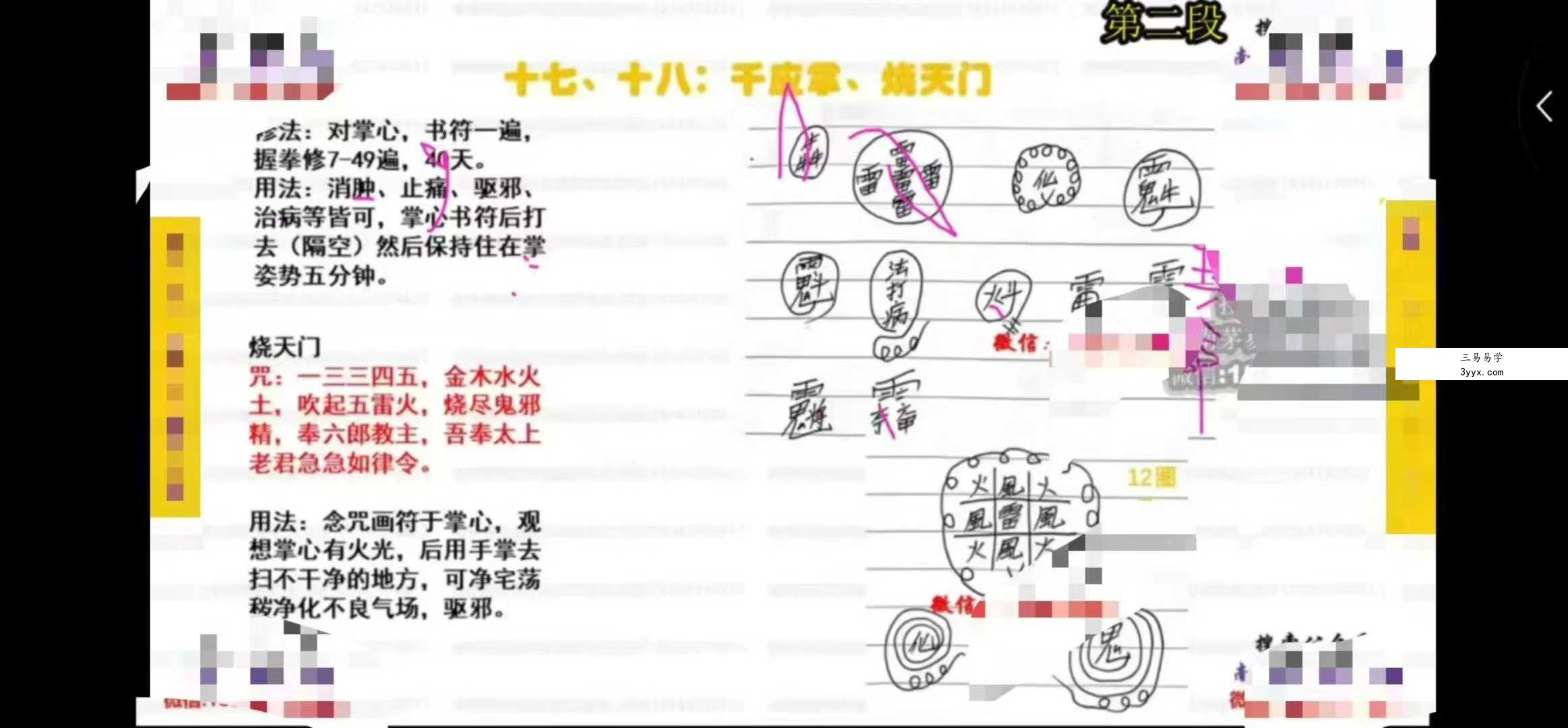 南茅易德道学堂 金水道人《青罡法》视频+课件 资料图片