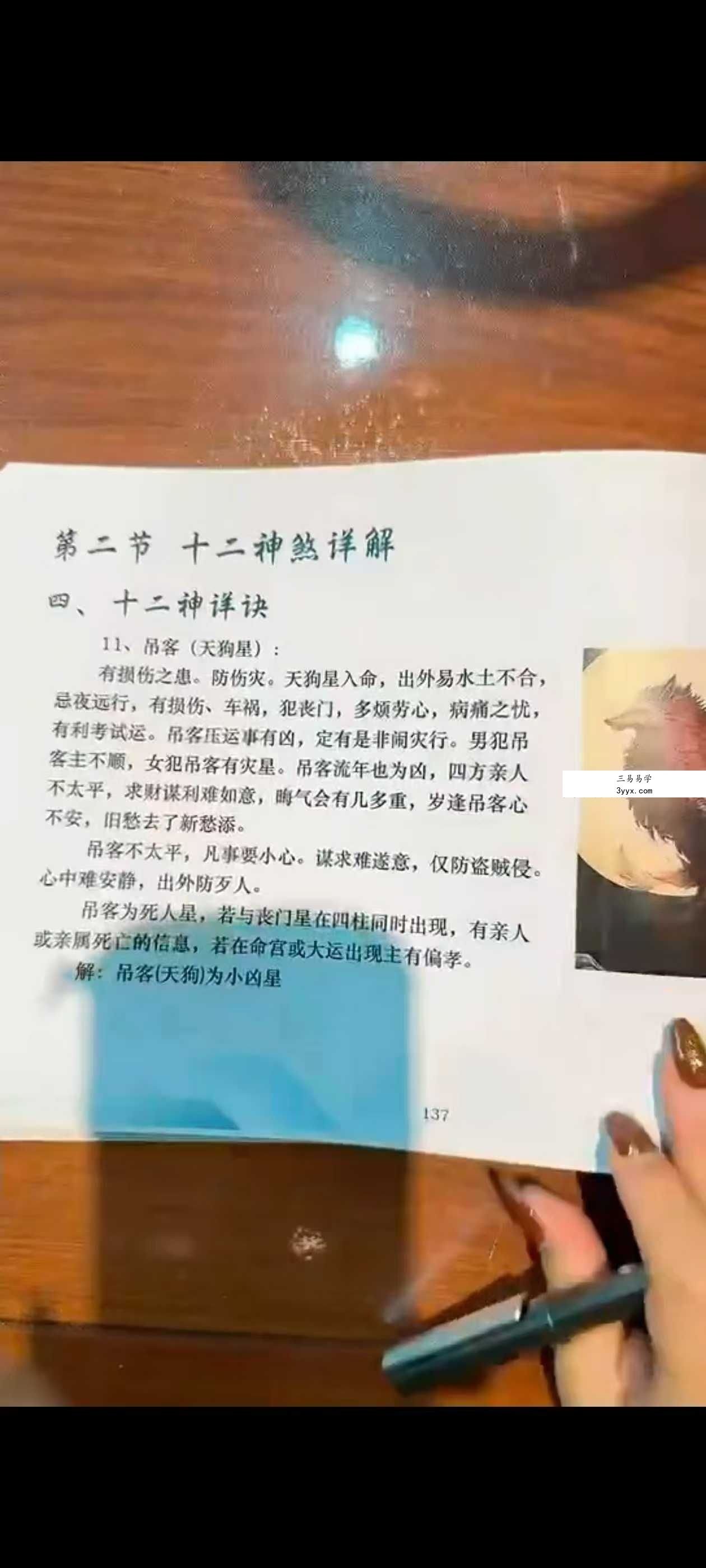 孙真坤 流年十二神煞 资料图片