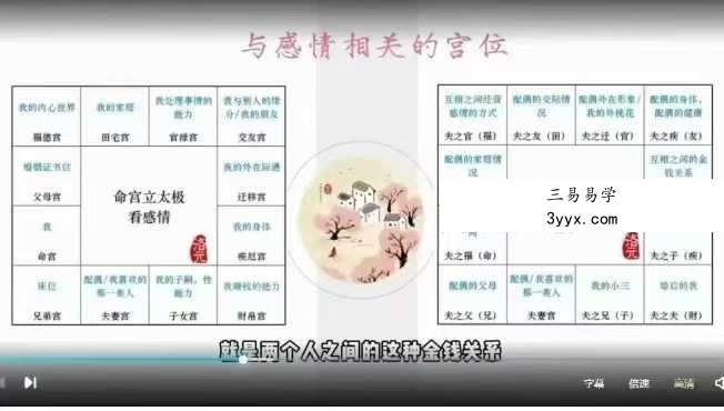 洛元老师 紫微斗数专题系列之《感情专题课》5集 资料图片